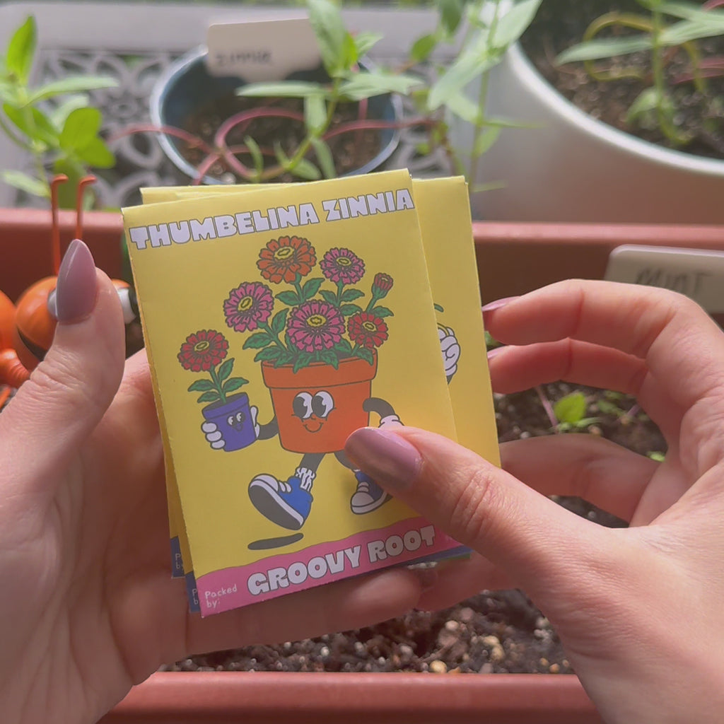 Jack Be Little Pumpkin Seeds - Heirloom