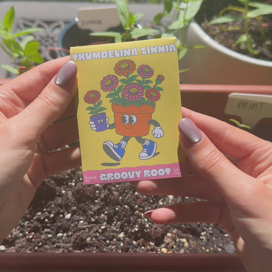 Thumbelina Zinnia Seeds - Heirloom