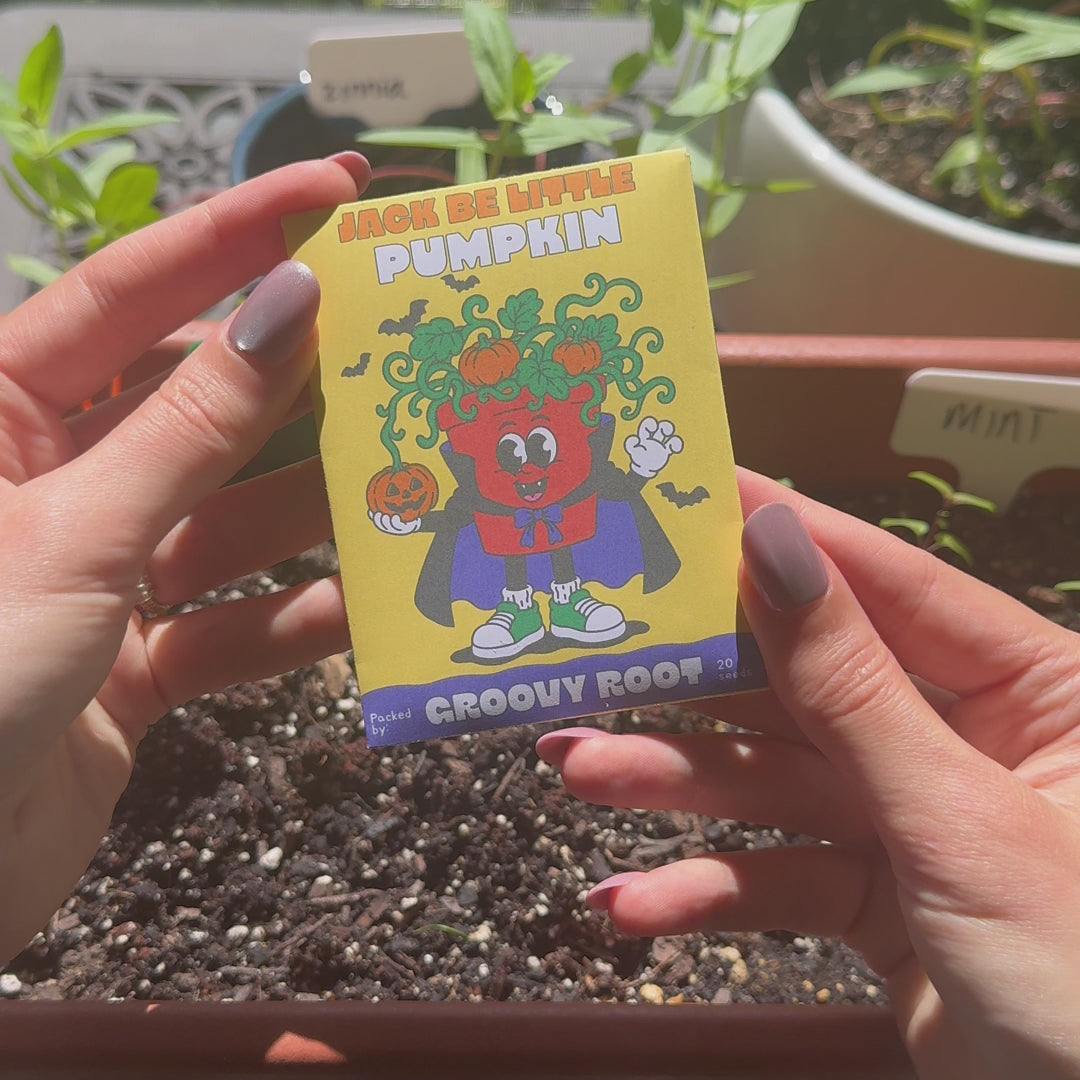 Jack Be Little Pumpkin Seeds - Heirloom