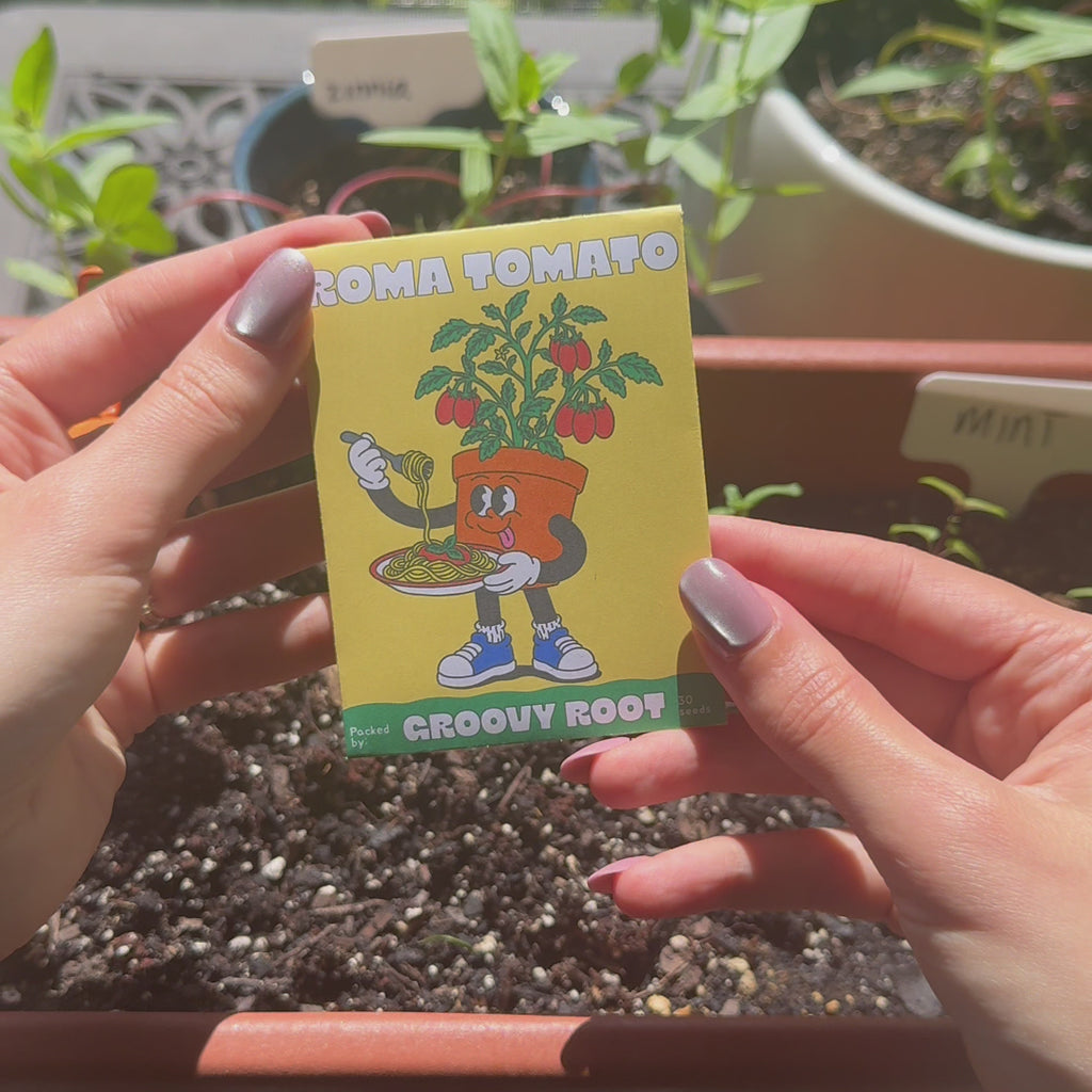 Roma VF Tomato Seeds - Heirloom