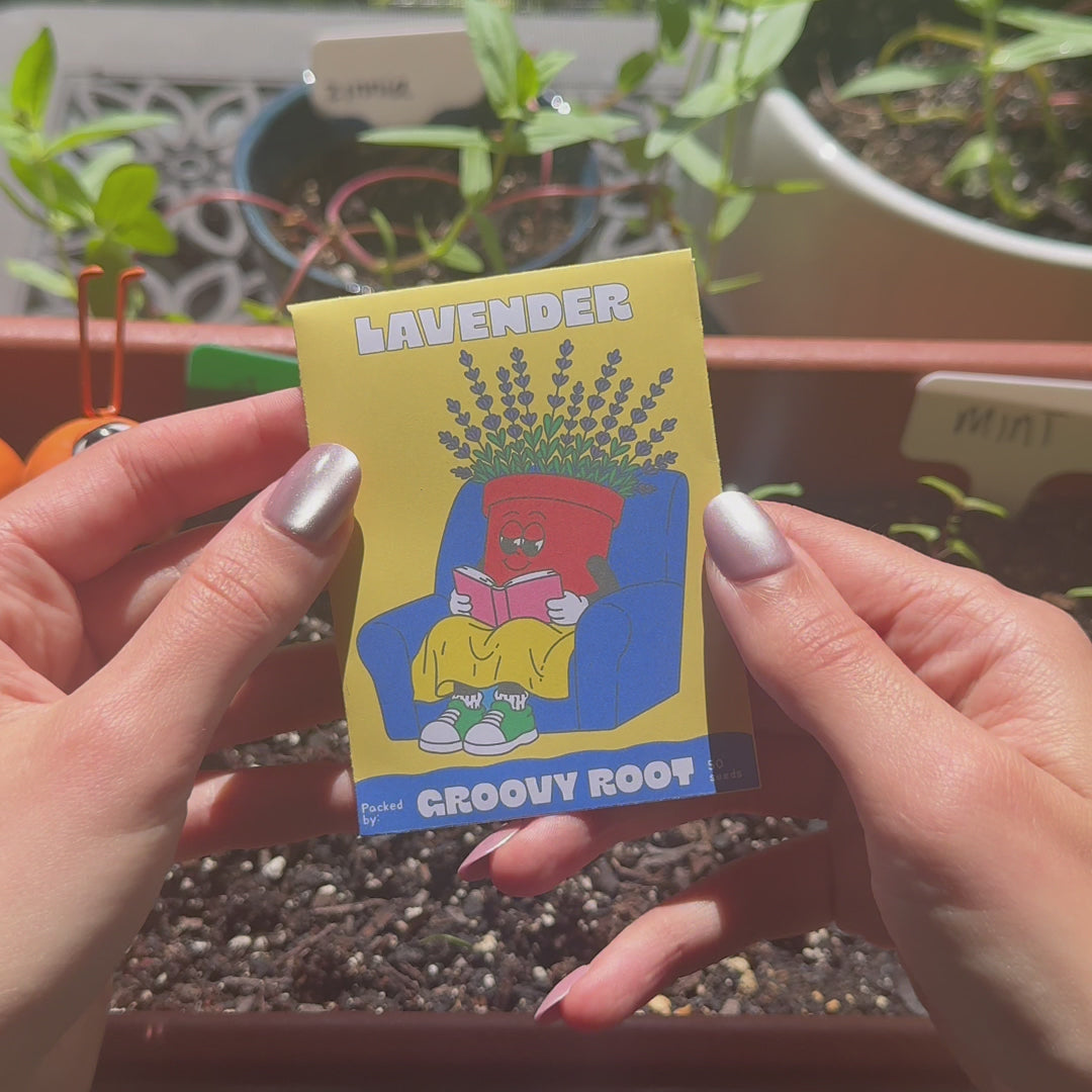Lavender Seeds - Heirloom