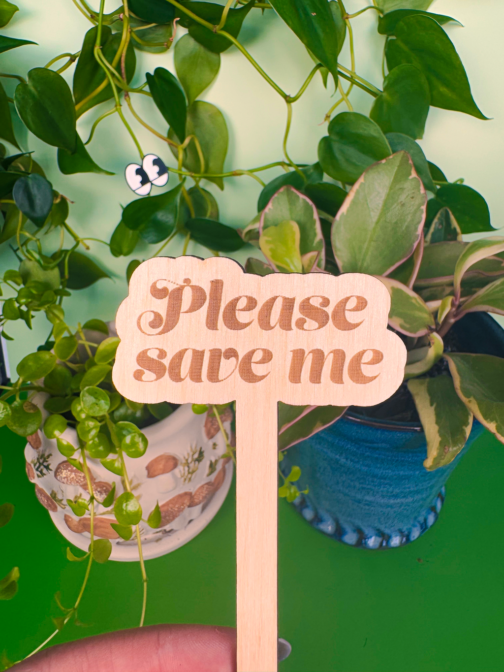 Punny Plant Markers
